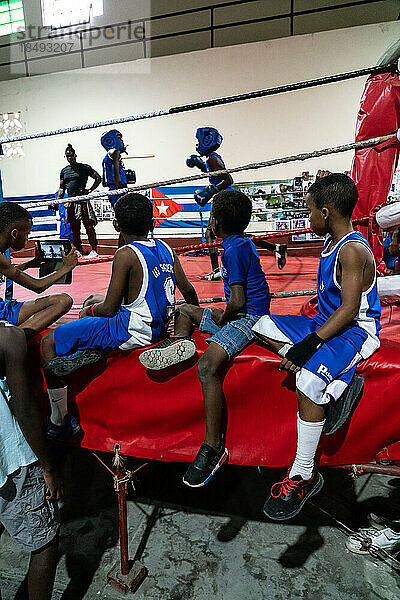 Junge Boxer im Training  Box-Akademie Trejo  Havanna  Kuba  Westindien  Karibik  Mittelamerika