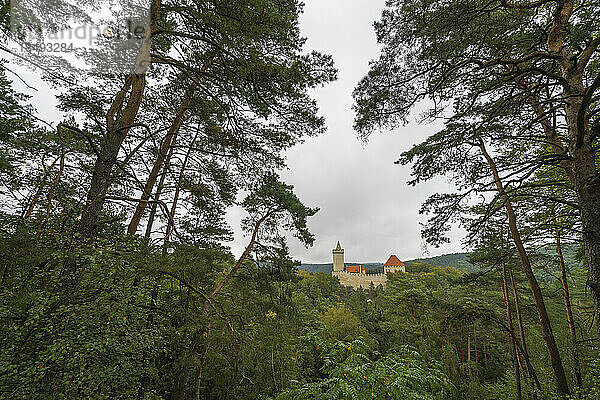 Burg Kokorin  Landschaftsschutzgebiet Kokorinsko  Mittelböhmen  Tschechische Republik (Tschechien)  Europa