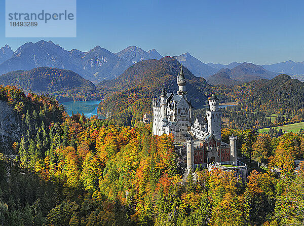 Schloss Neuschwanstein  Schwangau  Allgäu  Schwaben  Bayern  Deutschland  Europa