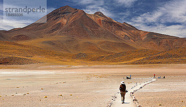 Hochebene der Atacama-Wüste  Chile  Südamerika