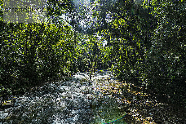 Batari-Fluss  Atlantischer Wald Süd-Ost-Reservat  UNESCO-Welterbe  Alto Ribeira Touristischer Staatspark  Staat Sao Paulo  Brasilien  Südamerika