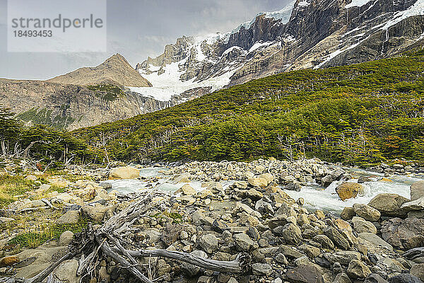 Fluss am Berg Paine Grande im French Valley  Torres del Paine National Park  Patagonien  Chile  Südamerika