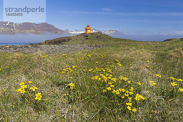 Leuchtturm Djupivogur  Ostisland  Island  Polarregionen