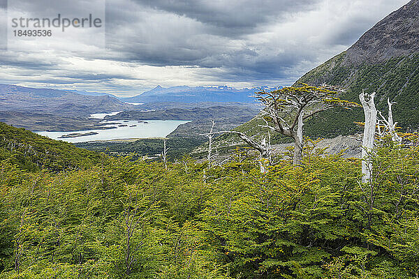 Aussichtspunkt French Valley  Nationalpark Torres del Paine  Patagonien  Chile  Südamerika