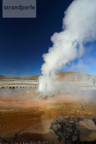 Geysirfeld El Tatio  Hochebene der Atacama-Wüste  Chile  Südamerika