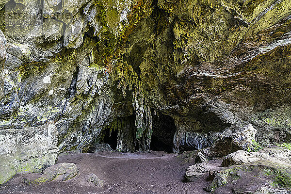 Santana-Höhle  Atlantischer Wald Süd-Ost-Reservat  UNESCO-Welterbe  Alto Ribeira Touristischer Staatspark  Staat Sao Paulo  Brasilien  Südamerika