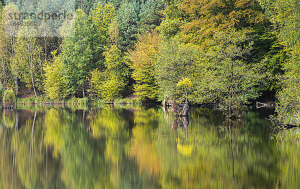Idyllische Aufnahme des Teichs Kacirek im Herbst  Kokorinsko  Mittelböhmen  Tschechische Republik (Tschechien)  Europa