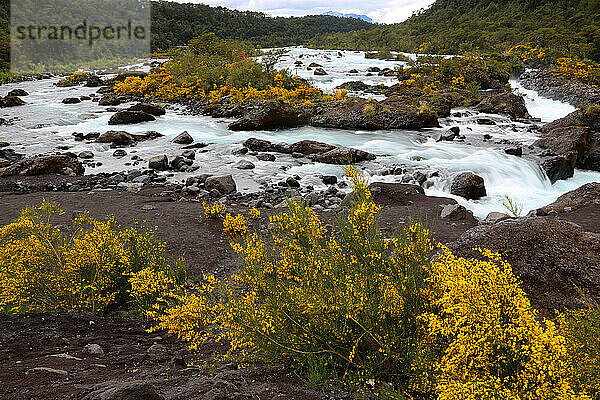 Petrohue-Fluss bei Puerto Varas  Seengebiet  Chile  Südamerika