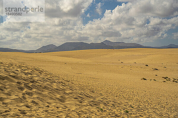Blick auf Strand und Berge an einem sonnigen Tag  Naturpark Corralejo  Fuerteventura  Kanarische Inseln  Spanien  Atlantik  Europa