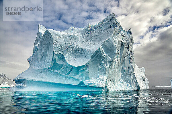 Ein schwimmender Eisberg auf der Antarktischen Halbinsel  Antarktis  Polarregionen