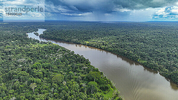 Luftaufnahme des Suriname-Flusses bei Pokigron  Suriname  Südamerika