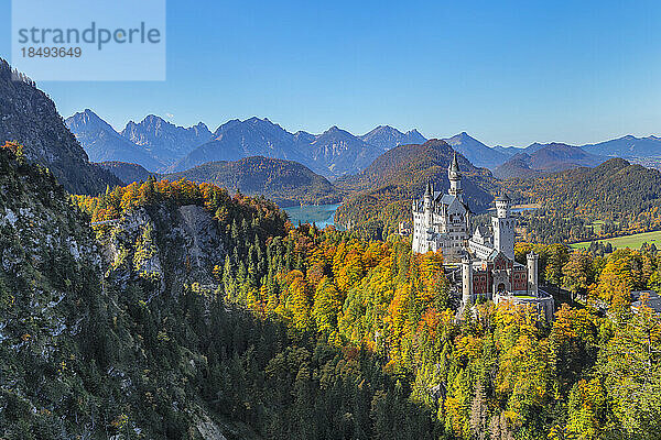 Schloss Neuschwanstein  Schwangau  Allgäu  Schwaben  Bayern  Deutschland  Europa