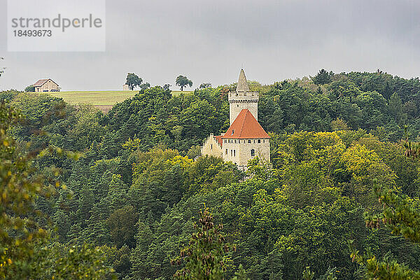 Burg Kokorin  Landschaftsschutzgebiet Kokorinsko  Mittelböhmen  Tschechische Republik (Tschechien)  Europa