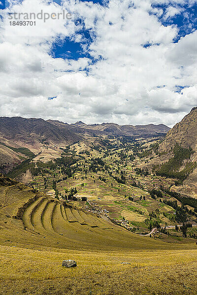 Terrassen in Pisaq  Heiliges Tal  Cusco  Peru  Südamerika