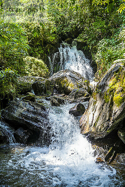 Couto-Wasserfall  Atlantischer Wald Süd-Ost-Reservat  UNESCO-Welterbe  Alto Ribeira Touristischer Staatspark  Staat Sao Paulo  Brasilien  Südamerika