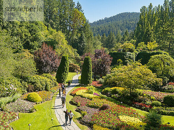 Der versunkene Garten in Victorias Butchart Gardens  angelegt in einem ehemaligen Kalksteinbruch  ab 1904  Victoria  Vancouver Island  British Columbia  Kanada  Nordamerika