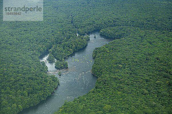 Luftaufnahme des Potaro-Flusses  Guyana  Südamerika