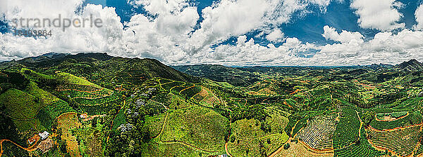 Hochperspektivische Luftaufnahme der hügeligen Landschaft von Minas Gerais  berühmt für seine Kaffeeproduktion  Brasilien  Südamerika