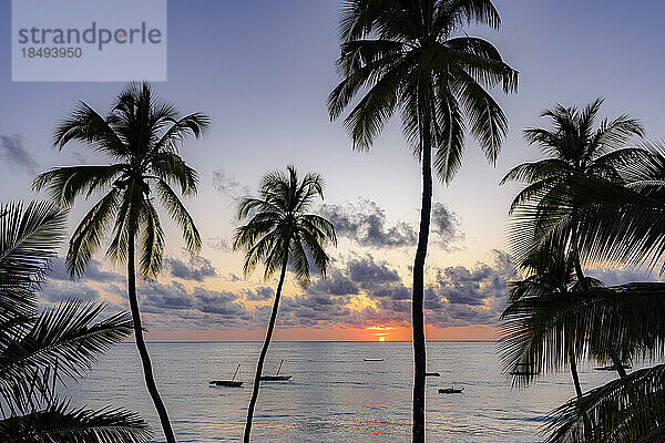 Silhouetten von Palmen mit im Meer vertäuten Booten in der Morgendämmerung im Hintergrund  Jambiani  Sansibar  Tansania  Ostafrika  Afrika