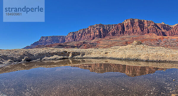 Ein Wasserbecken  in dem sich der Gipfel des Johnson Point unterhalb der Vermilion Cliffs spiegelt  Glen Canyon Recreation Area  Arizona  Vereinigte Staaten von Amerika  Nordamerika