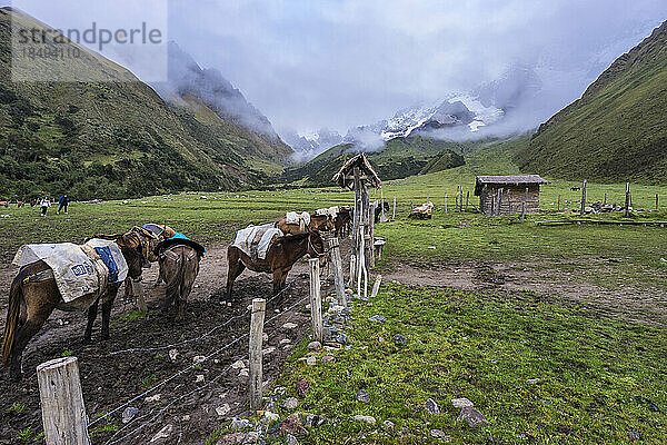 Soraypampa-Campingplatz  Salkantay-Trek  Mollepata  Die Anden  Cusco  Peru  Südamerika