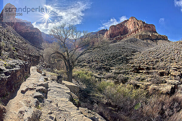 Die Klippen des Bright Angel Canyon am Grand Canyon vom Beginn des Garden Creek Canyon entlang des Bright Angel Trail aus gesehen  Grand Canyon National Park  UNESCO-Weltkulturerbe  Arizona  Vereinigte Staaten von Amerika  Nordamerika