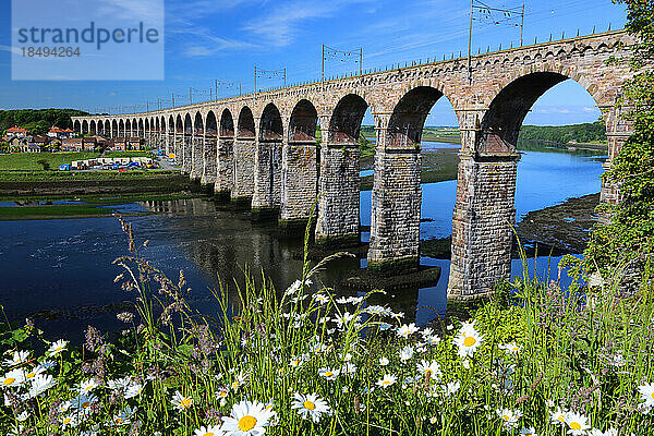 Royal Border Bridge  Berwick-upon-Tweed  Northumberland  England  Vereinigtes Königreich  Europa