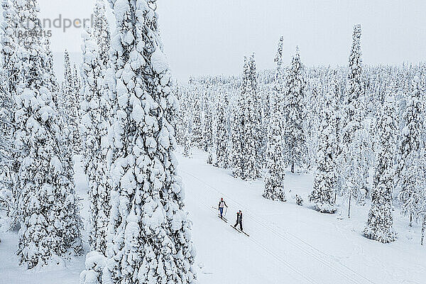 Zwei Personen beim Langlauf im verschneiten Wald  Luftaufnahme  Lappland  Finnland  Europa