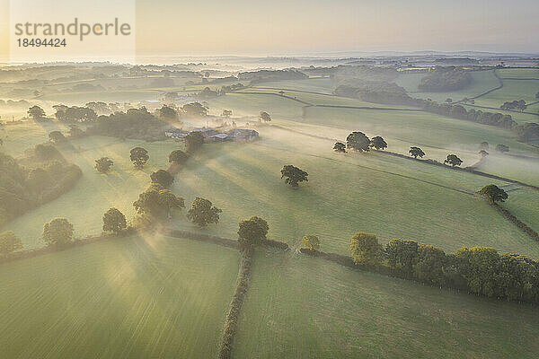 Nebelverhangene Herbstlandschaft in der Morgendämmerung  in der Nähe von Spreyton  Devon  England  Vereinigtes Königreich  Europa