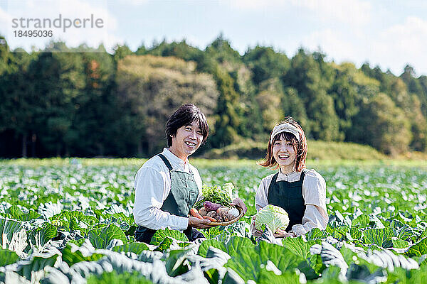 Japanische Familie arbeitet im Gemüsegarten