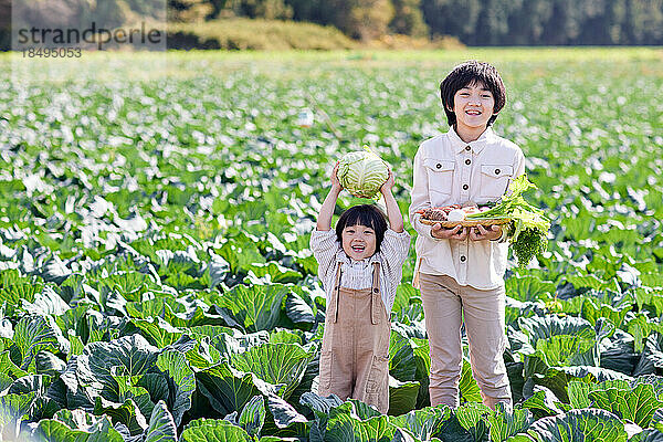 Japanische Kinder arbeiten im Gemüsegarten
