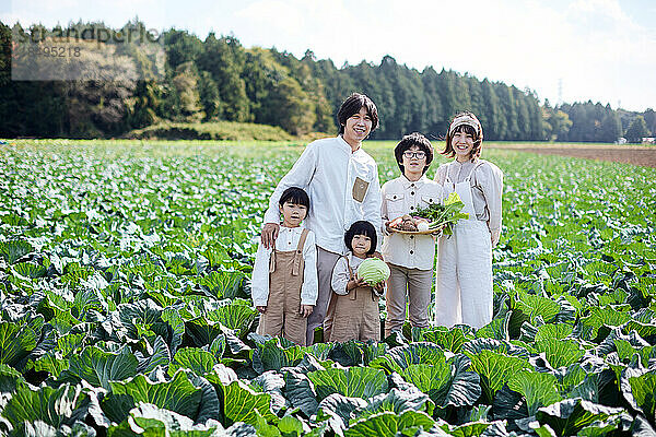 Japanische Familie arbeitet im Gemüsegarten