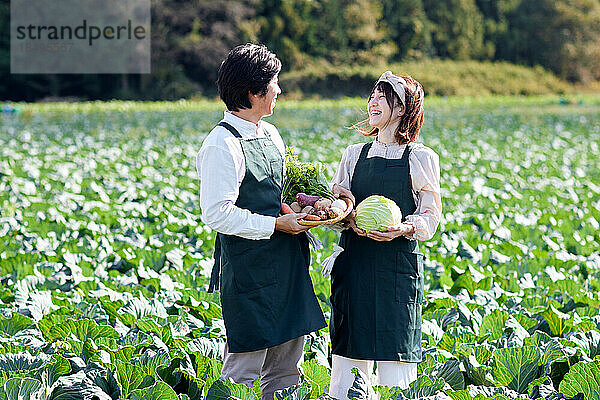 Japanische Familie arbeitet im Gemüsegarten