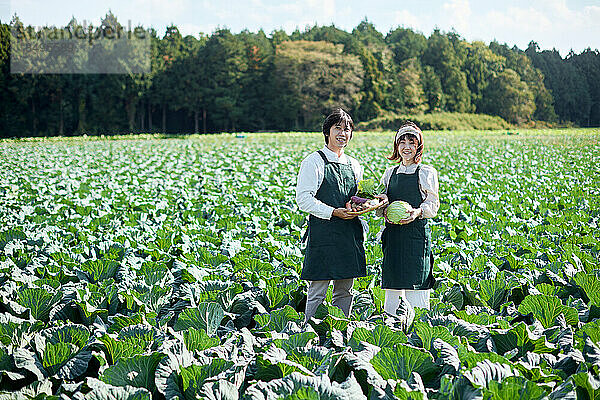 Japanische Familie arbeitet im Gemüsegarten