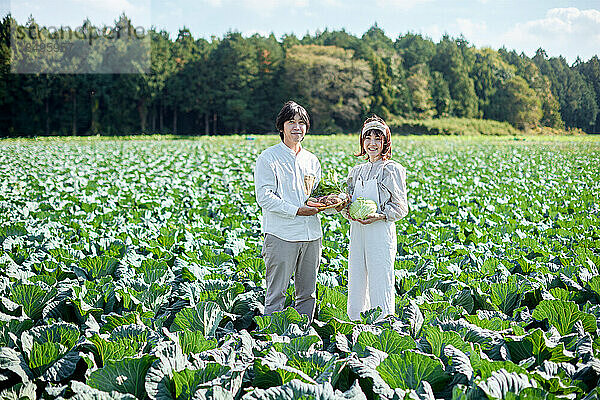 Japanische Familie arbeitet im Gemüsegarten