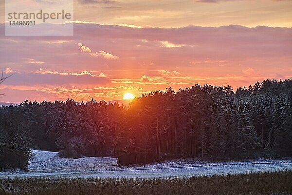 Sonnenuntergang über einem Wald  Bayern  Deutschland  Europa