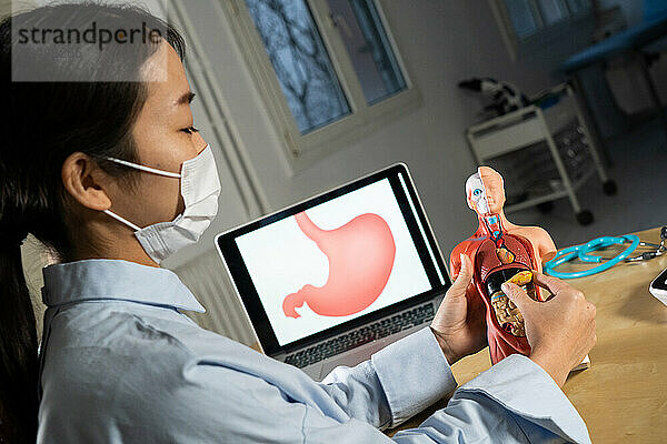 Anatomische Schaufensterpuppe zum Erlernen menschlicher Organe