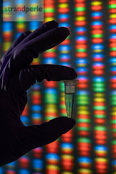 Hand hält ein Röhrchen mit DNA-Proben vor einem Bild eines Genoms.