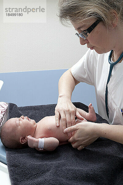 Der Kinderarzt führt eine Bauch- und Lendentastung durch  um sicherzustellen  dass alle Organe vorhanden sind.