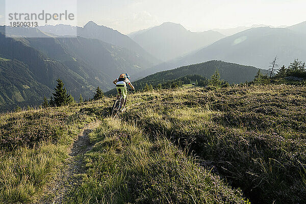 Rückansicht eines Mountainbikers  der bergauf fährt  Zillertal  Tirol  Österreich