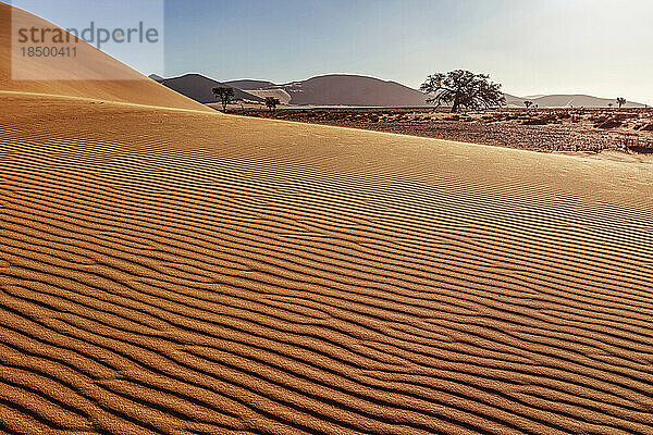 Malerische Aussicht auf Sanddünen im Sossusvlei  Namibia  Afrika