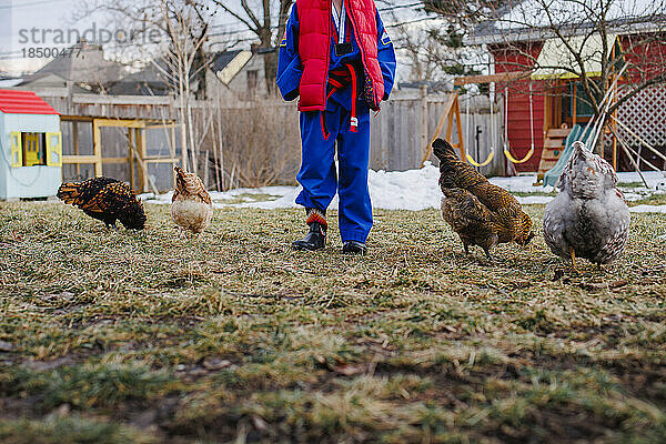 Untere Hälfte eines Kindes in Taekwondo-Uniform mit Hühnern im Garten