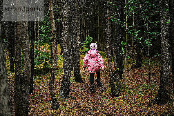 Mädchen geht im moosigen alten Wald spazieren