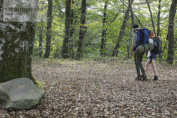 Rückansicht eines jungen Paares beim Wandern mit Rucksack in einem Wald  Bayern  Deutschland