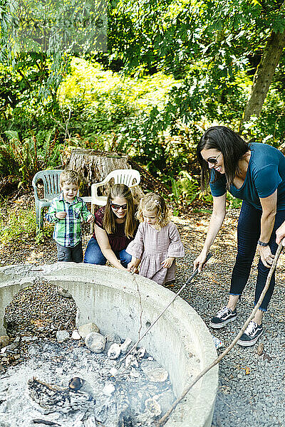 Direkter Blick auf Familie und Freunde  die Marshmallows auf einem Feuer rösten