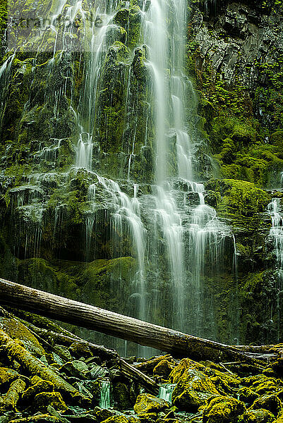 Proxy Falls in der Nähe von Eugene  Oregon
