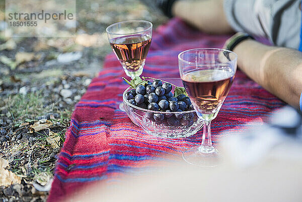 Wein und Trauben auf einer Picknickdecke im Freien