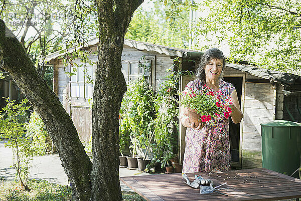 Ältere Frau beim Umtopfen von Blumen  Altötting  Bayern  Deutschland