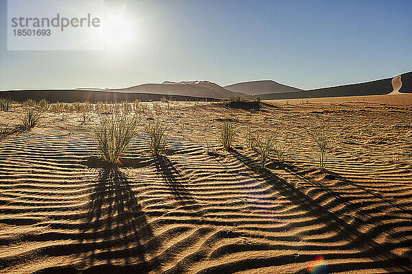 Silhouette der Wüste bei Sonnenaufgang  Sossusvlei  Namibia  Afrika