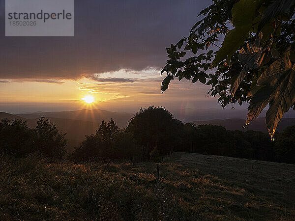 Morgentau und Berglandschaft bei Sonnenaufgang  Stosswihr  Vogesen  Frankreich